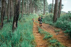 BIB: 
                            <button type="button" onclick="openModal(25655281)" class="btn btn-primary btn-sm float-right btn-popup" data-toggle="modal" data-target=".modal-high-quality">
                        <i class="fas fa-shopping-cart"></i> Add to Cart
                    </button>
                                            <button type="button" onclick="isThisMe(25655281, true)" class="btn btn-success btn-sm float-right btn-popup btn-isme hidden" data-toggle="tooltip" data-placement="bottom" title="นี่คือรูปของคุณใช่ไหม คลิกที่นี่เพื่อเอาเข้าอัลบั้ม">
                        <i class="fas fa-plus"></i> Add to album
                    </button>
                    <button type="button" onclick="isThisMe(25655281, false)" class="btn btn-warning btn-sm float-right btn-popup btn-isnotme hidden">
                        <i class="fas fa-ban"></i> Remove from album
                    </button>